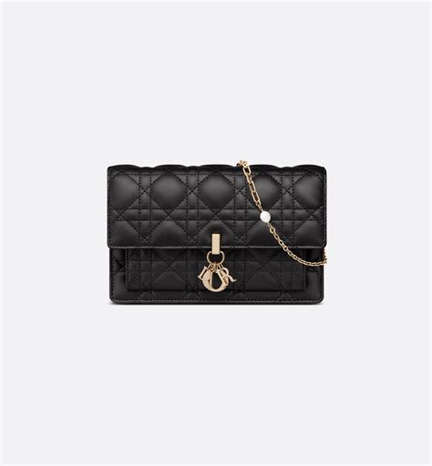 dior daily chain pouch
